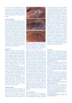 wIRA wound healing horses-4
