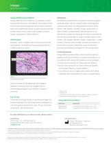 Integra® Reinforcement Matrix-2