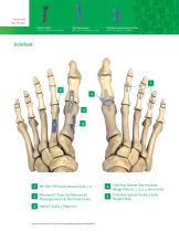 Lower Extremity Foot and Ankle-2