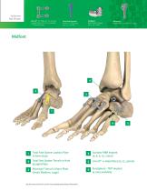Lower Extremity Foot and Ankle-3