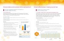 MediHoney® Brochure-4