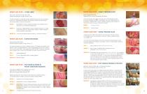 MediHoney® Brochure-6