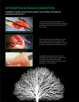 SurgiMend® Hernia Brochure-3