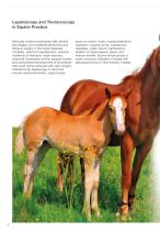 Laparoscopy and Thoracoscopy in Equine Practice-2