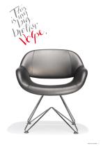 Volpe & Volpino-5