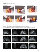 US-1B Ultrasound Examination Training Model "ABDFAN" - 2