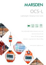 Marsden OCS-L Crane Scale-1