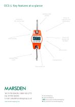 Marsden OCS-L Crane Scale-4