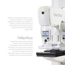 Helianthus-2