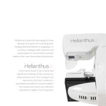 Helianthus C-2
