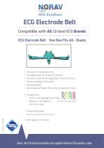 Universal ECG Electrodes Belt with Handles - 2