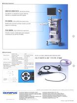 BF-F260 - 4