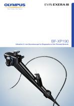 BF-XP190 - 1