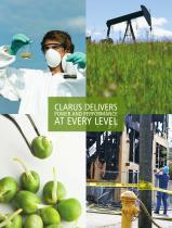 Clarus Gas Chromatographs Brochure-2