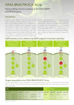 KRAS / BRAF / PIK3CA Array* - 2