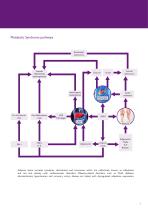 Metabolic Syndrome Arrays - 3