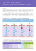 Molecular Testing - 8