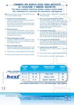 BEST-LISAS-2