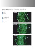DUB brochure - 11