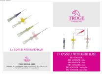 I.V. CANNULA WITH RAPID FLASH-1