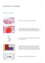 Vision Bio® ? Digital microscopy: analysis, reports and data management-13