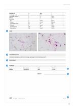Vision Sperm® ? Digital systems for sperm analysis-13
