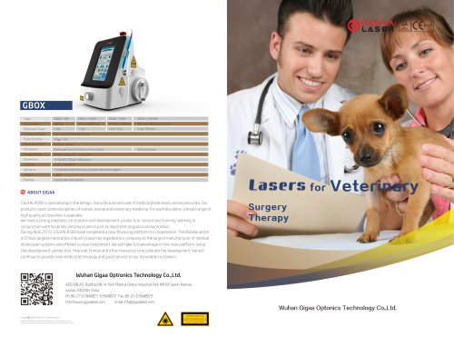 Medical lasers for Vet