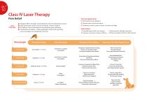 Veterinary Laser Systems-3