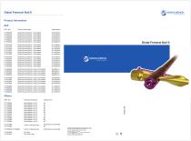 Distal Femoral Nail (DFN) II-1
