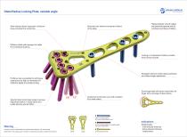 Distal Radius Locking Plate, variable angle-2