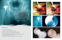 Product Portfolio-11
