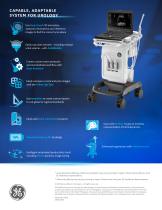 Versana Active™-2