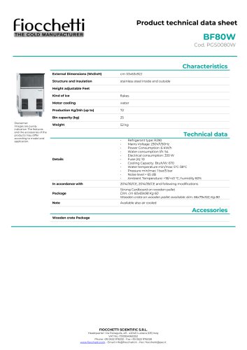 Ice maker flake ice BF80W