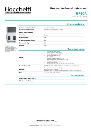 Ice makers flake ice BF80W