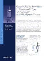 QuikScaleTM Biochromatography Columns - 1