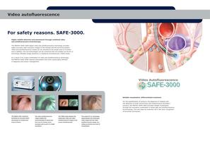 SAFE-3000-3