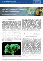 Effects of modified atmospheres on lab-grown fungi cultures-1