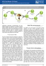 Effects of modified atmospheres on lab-grown fungi cultures-2