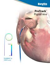 ProTrack ? Pigtail Wire - 1