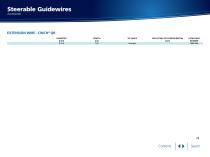 Steerable Guidewires - 10