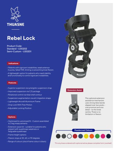 Rebel Lock