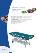Shower trolley-1