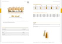 BEGO CAD/CAM Product Catalogue-5