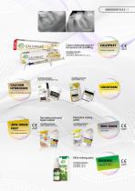 Catalog-13