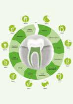 ENDODONTICS - 6