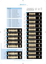 Mould chart Acry Plus-7
