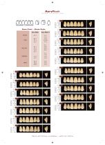 Mould chart Acry Rock - 6