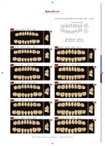 Mould chart Acry Rock-9