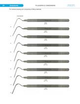 Endodontic - 4