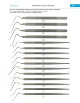 Endodontic - 5